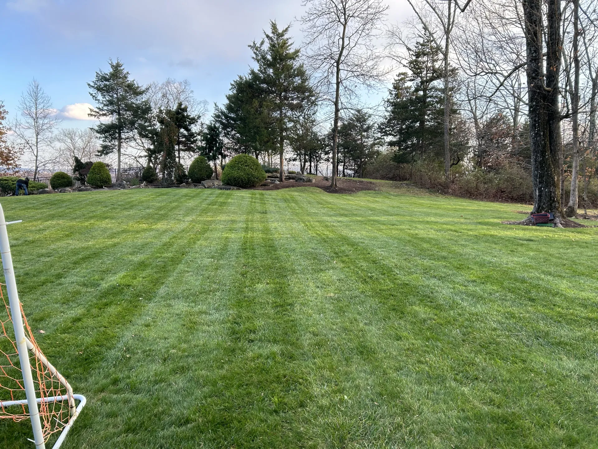 Manicured Backyard Lawn Care