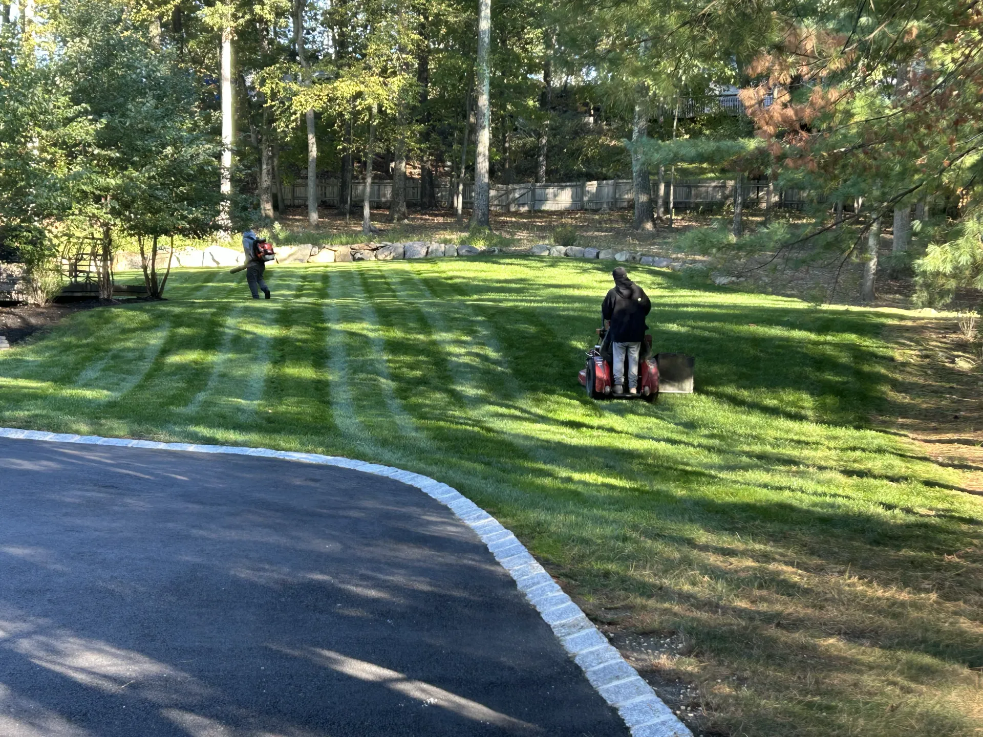 Professional Lawn Mowing & Striping